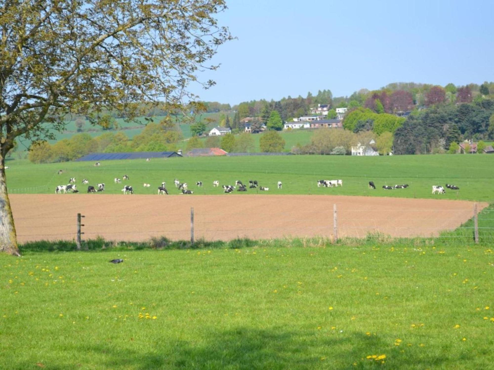 Heimerhoefkes Villa Klimmen Esterno foto